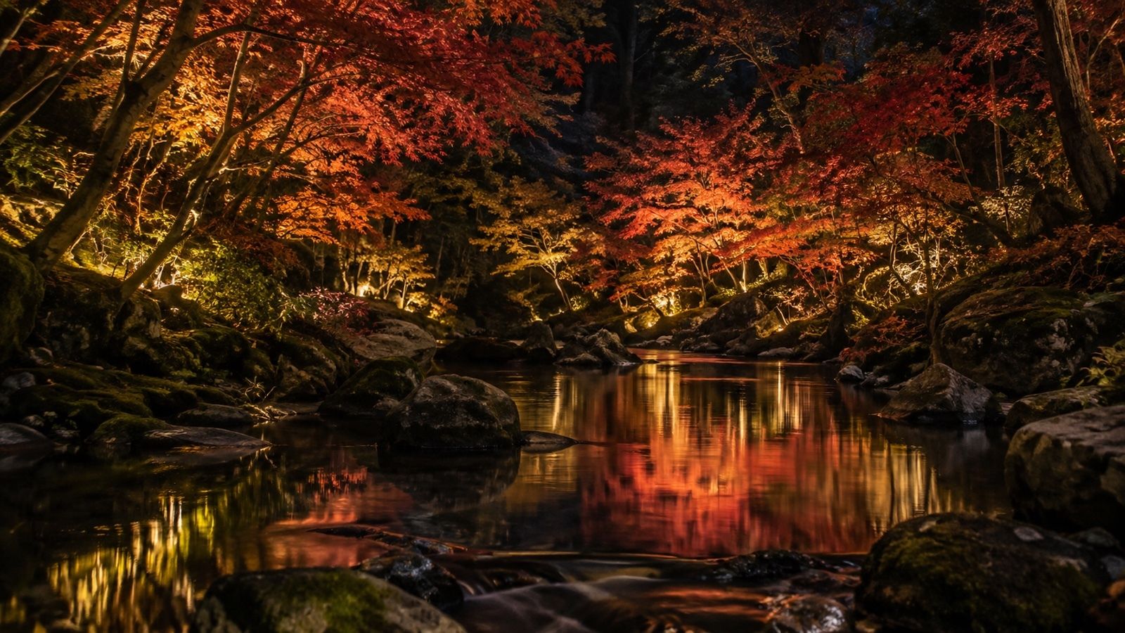 夜にライトアップされた渓谷のモミジ