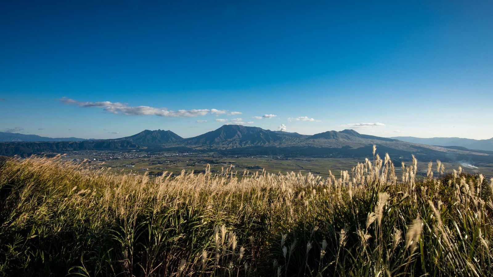 すすきの原の向こうに見える阿蘇の山なみ