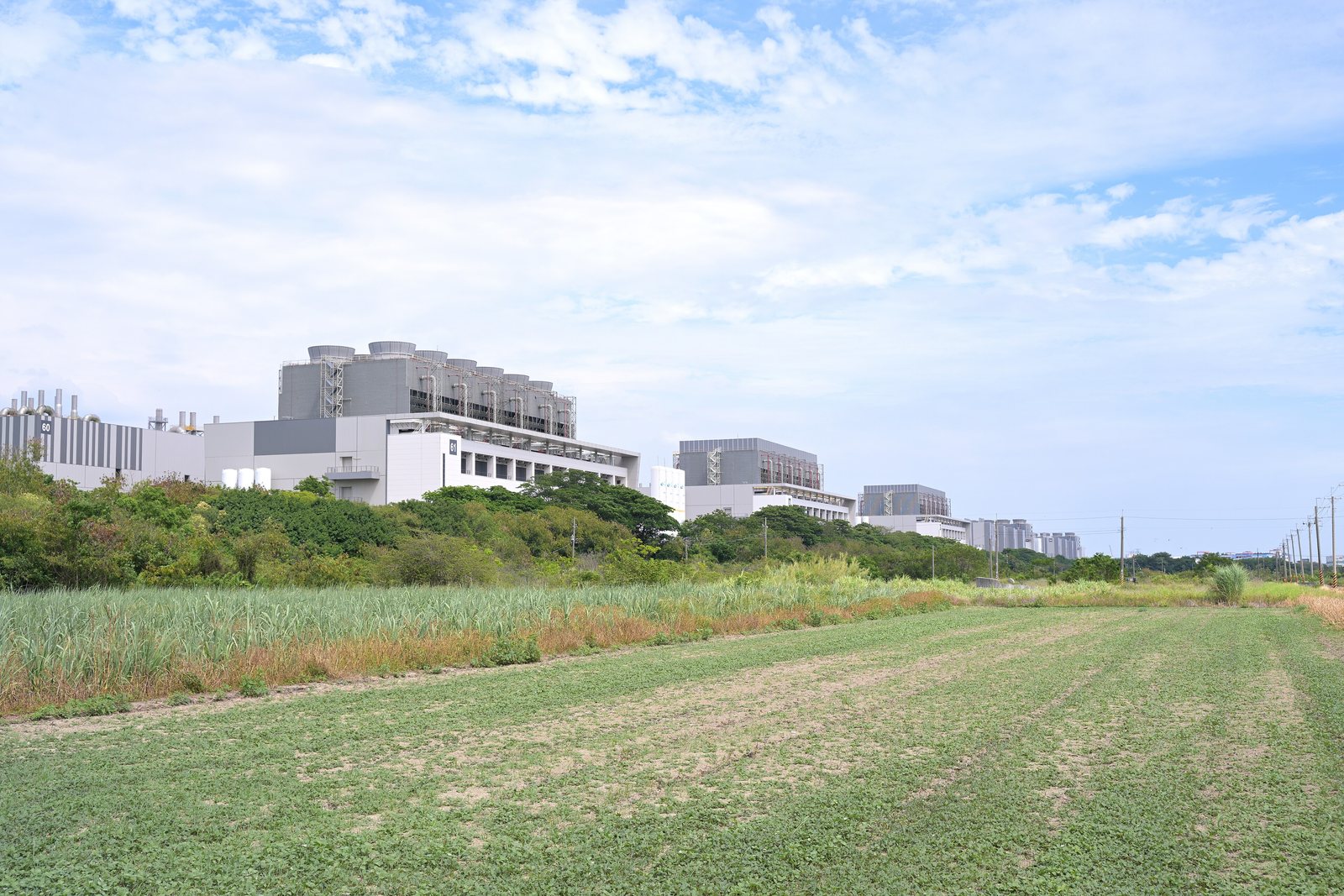 農地の奥に見える tsmc の工場