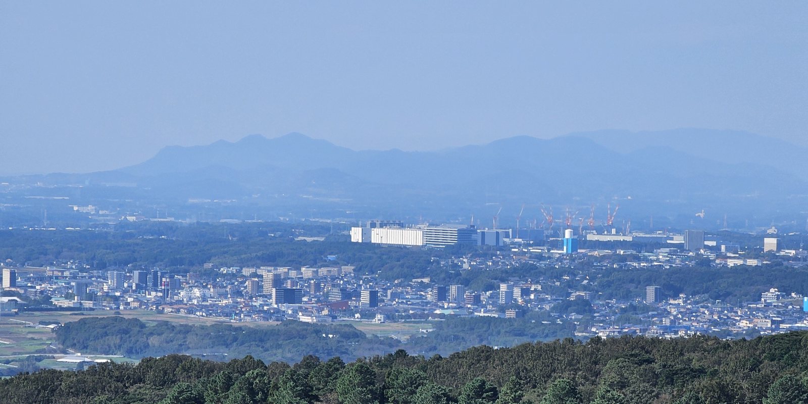 西原村から見た大津町の市街地と jasm 周辺